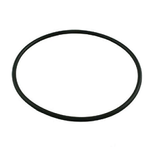 O-Ring for Waterway Pump Faceplate (Fits 48F & 56F)